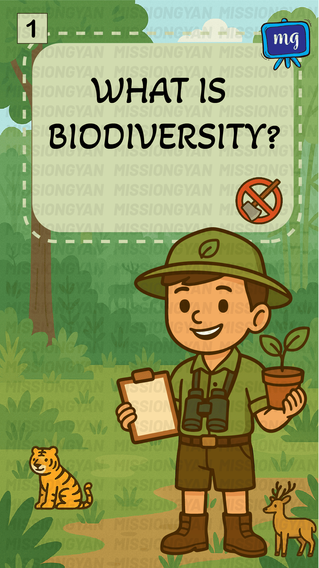 flashcard
