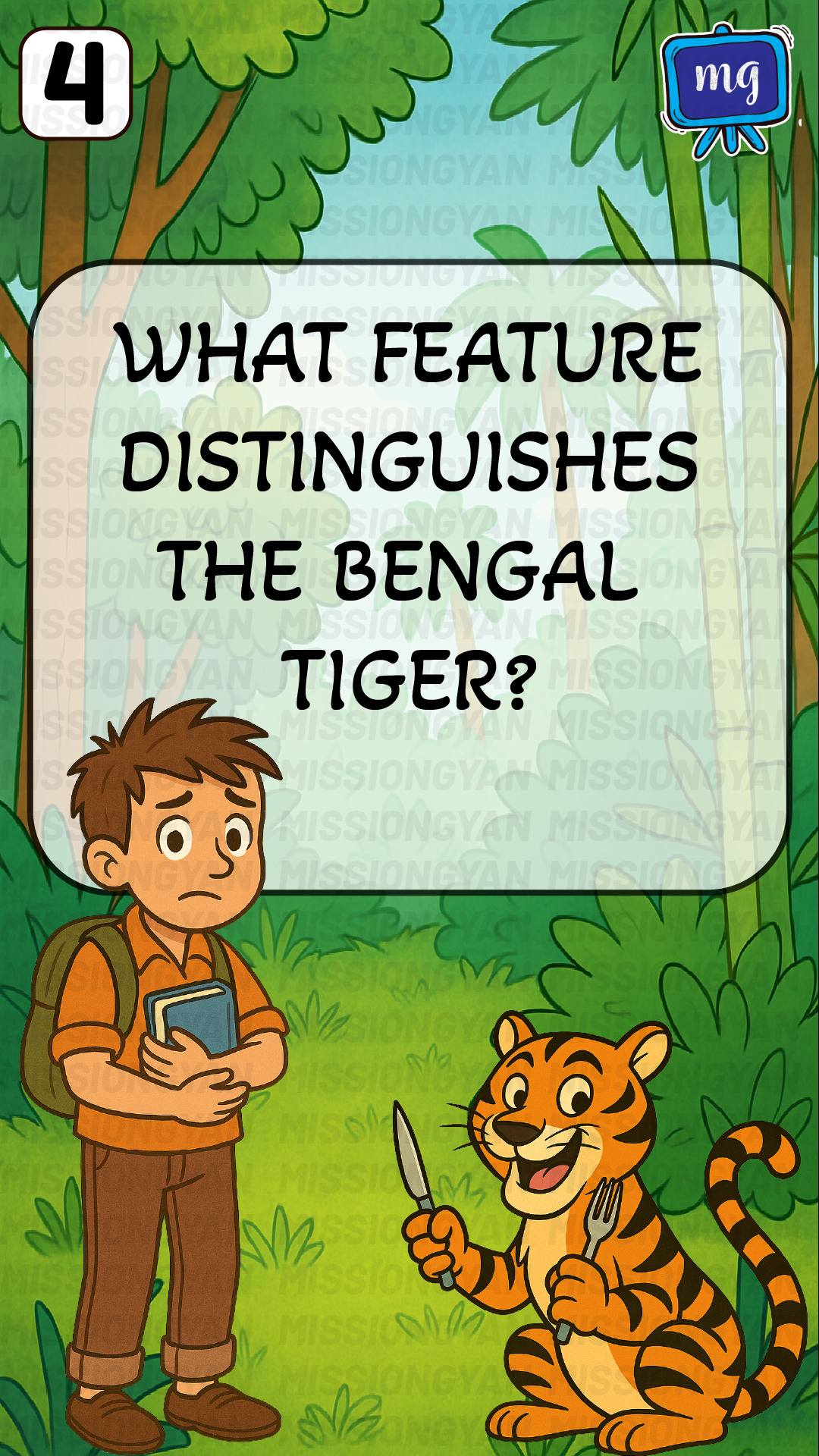 flashcard