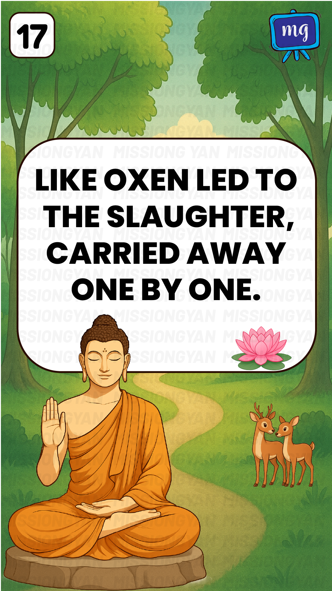 Flashcard