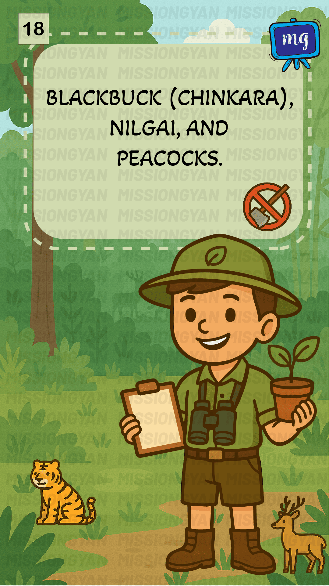 Flashcard