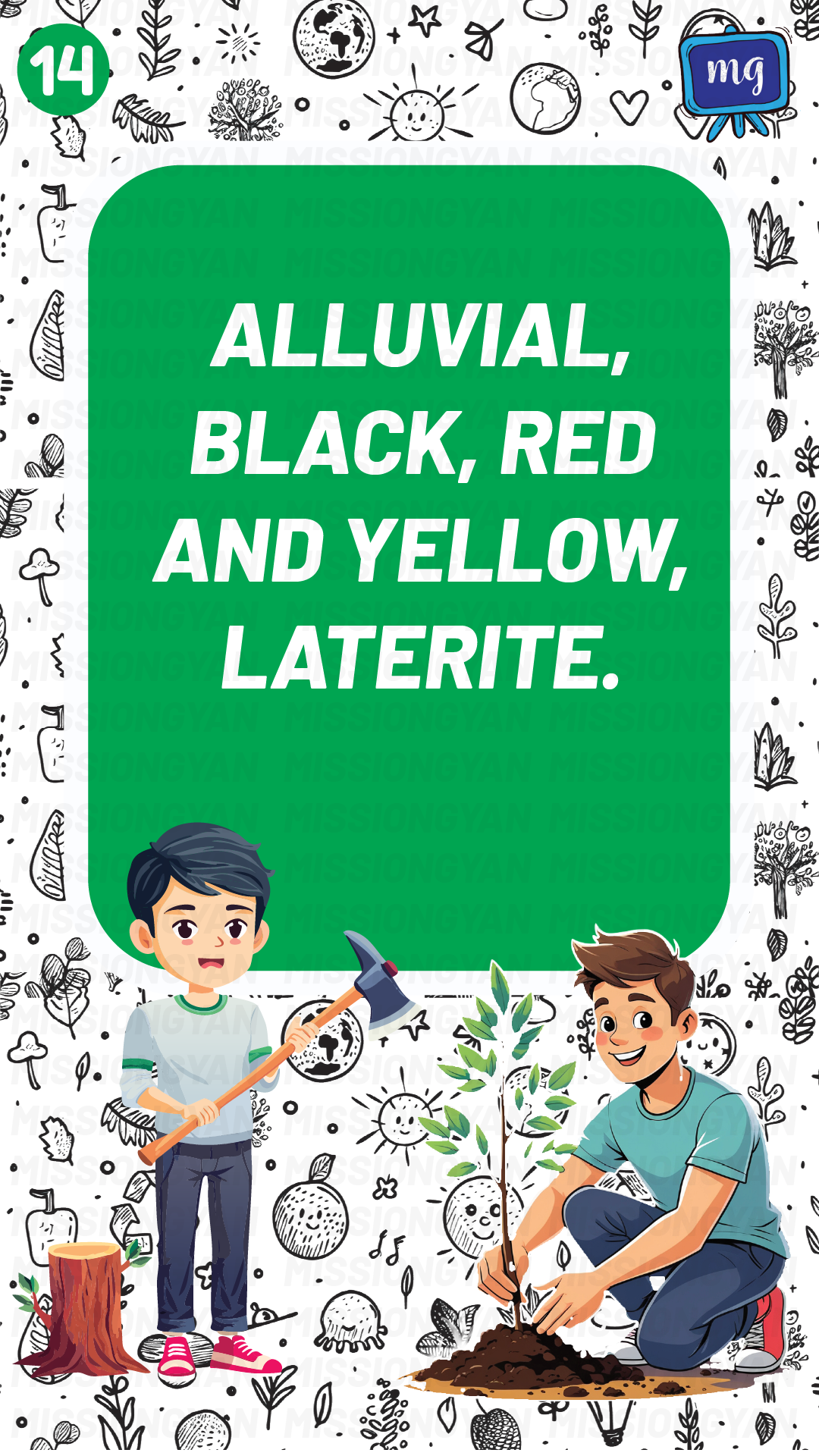 Flashcard