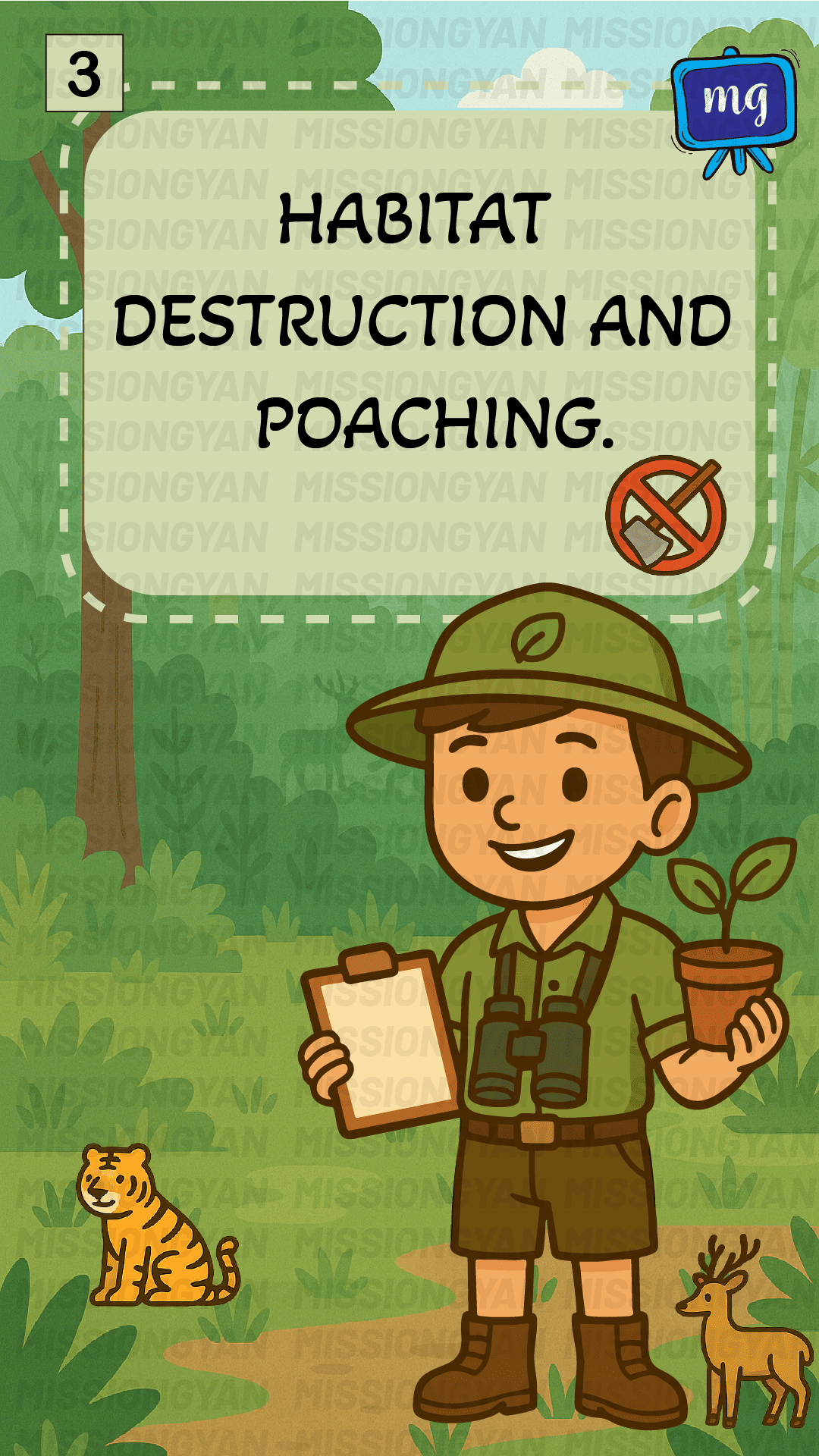 Flashcard