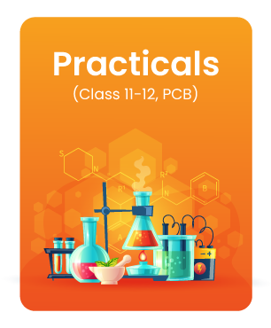 Click Here for Practicals